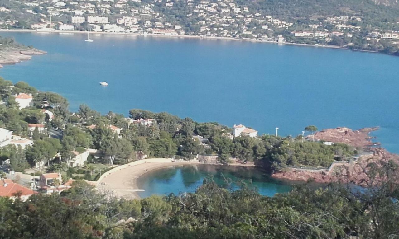 Appartement Vue Mer Piscines Parking Les Coraux Agay Plage Сен-Рафаель Екстер'єр фото